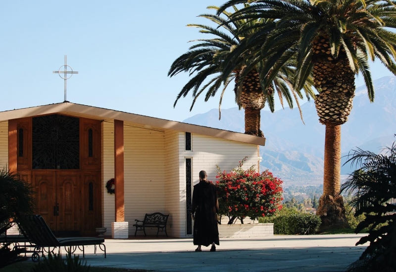 83238341 2598136576961073 8148803221196898304 o